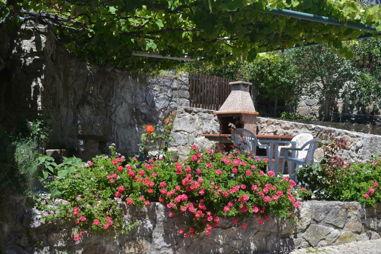 Quinta Do Real - Casa De Campo Viana do Castelo Bagian luar foto